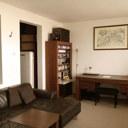With A View Of The Center Of Apartment